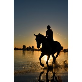 Fototapetai Moteris ant juodo žirgo saulėlydyje